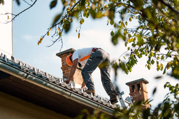 Best Residential Roofing Contractor  in La Cygne, KS