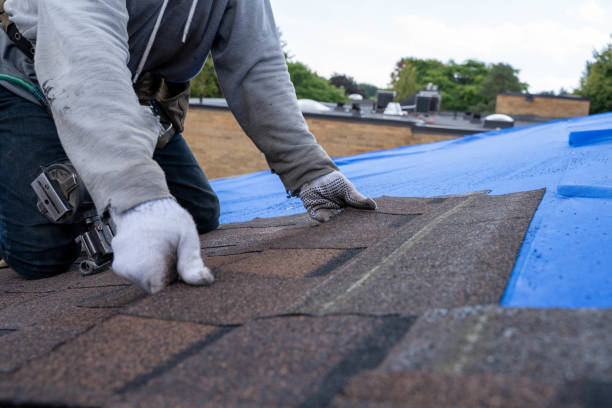 Best Emergency Roof Repair  in La Cygne, KS