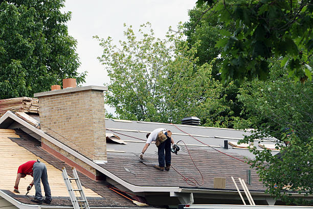 Best Roof Repair Services  in La Cygne, KS