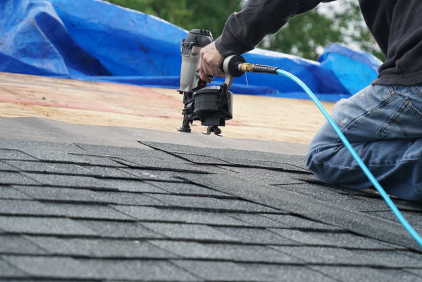 Best Sealant for Roof  in La Cygne, KS