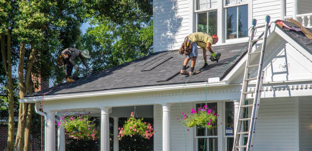 Best Sealant for Roof  in La Cygne, KS